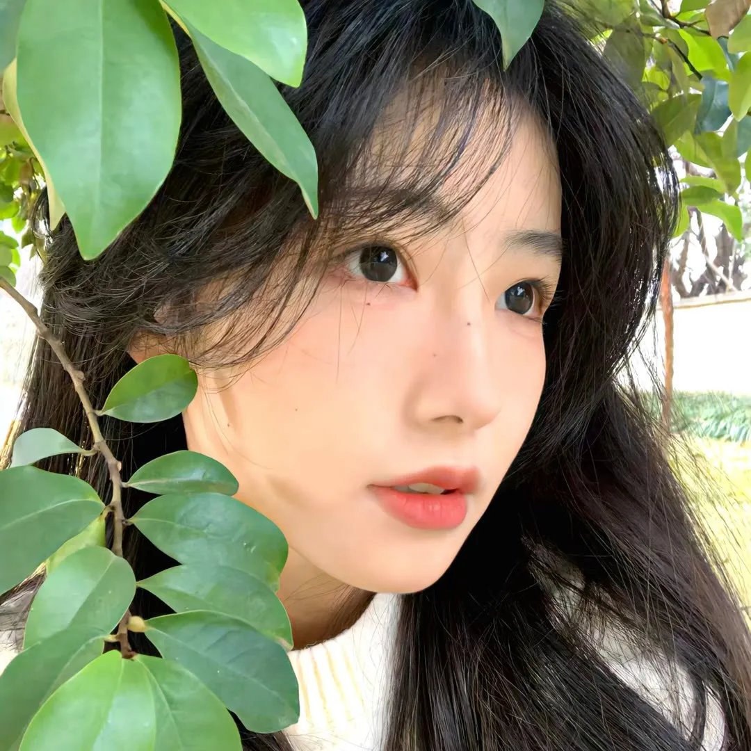 那年那兔那些事第五季